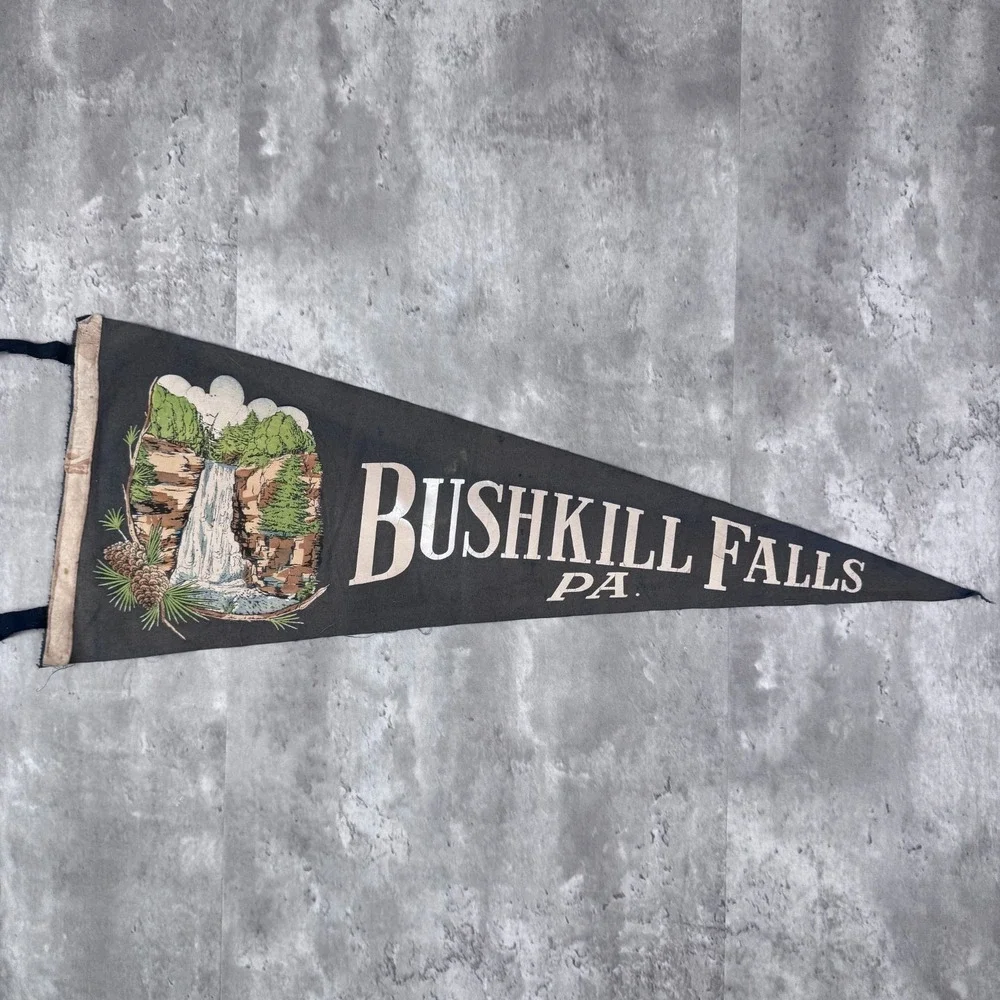 Vintage Bushkill Falls PA Souvenir Flag Pennant Pennesylvania Waterfall 30